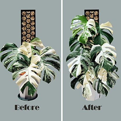 Plastic Moss Pole 4 Pack 17 Inch for Climbing Plants Monstera, Moss Pole Support for Indoor Plants, Plant Support for Monstera Work with Sphagnum Moss, Plant Lover Gifts