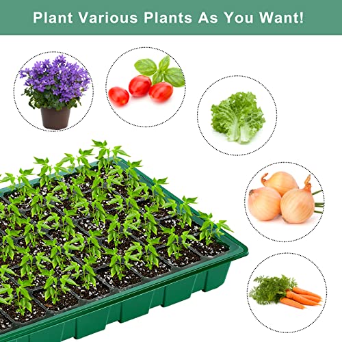 Elcoho 6 Pack Seed Starter Tray Kit 40 Cells Seedling Trays with Humidity Dome and Base Mini Propagator Plant Nursery Pots Total 240 Cells for Greenhouse Plants Growing, Green - color: Green