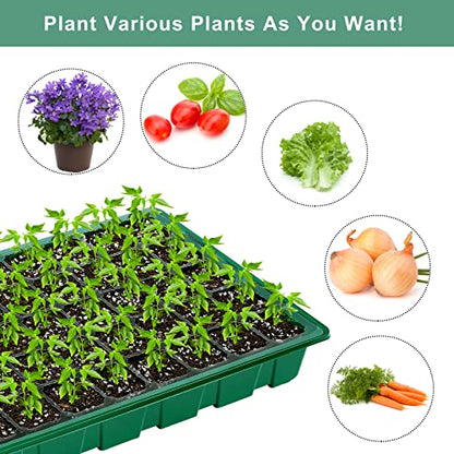 Elcoho 6 Pack Seed Starter Tray Kit 40 Cells Seedling Trays with Humidity Dome and Base Mini Propagator Plant Nursery Pots Total 240 Cells for Greenhouse Plants Growing, Green - color: Green