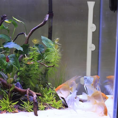 Aquarium Feeder Tube and Shrimp Feeding Dish Glass 40cm Fish Feed Tool for Aquarium Accessories Suitable for Fish and Shrimp