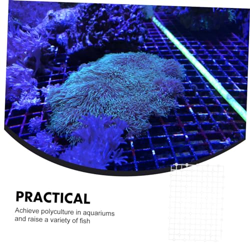 Toddmomy 2pcs Transparent Plate Tank Divider for Aquariums Easy Installation Gravel Strong Bearing Capacity Aquarium Supply for Fish Tank Landscaping