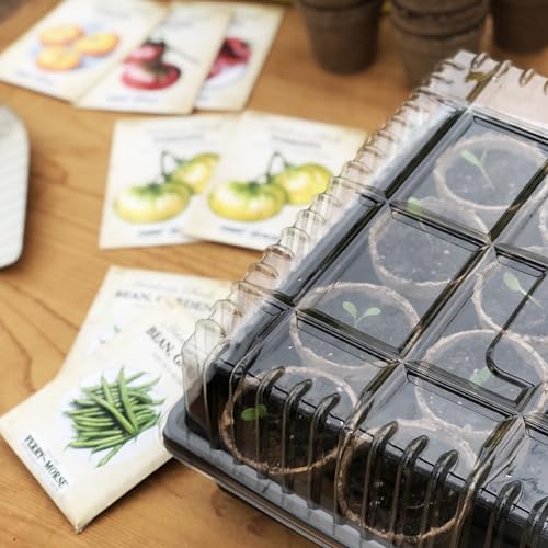 Jiffy Plant Germination Dome - Clear Humidity Cover, Lightweight - 21 x 11 in - 2 in Tall - Plastic