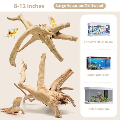 Natural Spiderwood for Aquarium Decor 2-Piece 11''-14'' Long Natural Driftwood Branches for Fish Tank Decorations