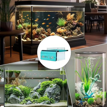 Floating Fish Feeding Ring, Aquarium Food Feeder Circle Tool, 10cm Loop with Splash Guard, Material Feeding Ring, Feeder with Clear Design, Aquarium Tool for Betta Guppy