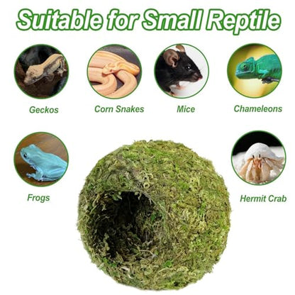2pcs Crested Gecko Hide,Reptile Mossy Caves Hideout,Leopard Gecko Humid Hide,Natural Moss Cave Hiding Decor Tank Accessories for Reptiles, Amphibians,Invertebrates,Lizard,Frog