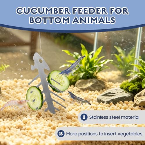 Fish Tank Cucumber Holder for Pleco, Aquarium Vegetable Clip Suction Cup, Stainless Steel Aquarium Vegetable Feeding Tools for Shrimp Loach Pleco Food Feeder in Fresh and Salt Water