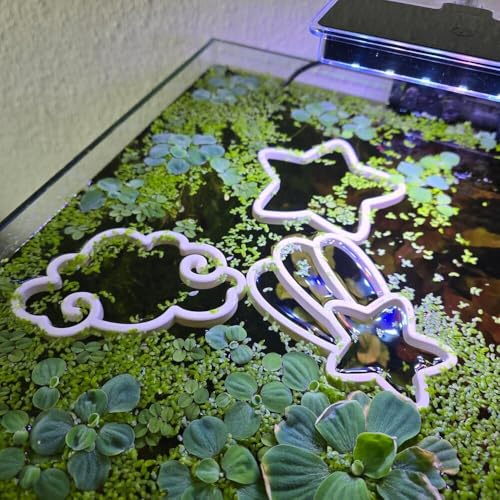 Fish Feeding Portals for Betta & Aquariums | Floating Food Rings & Breathing Windows (Moon Shape) (Black) - color: Black