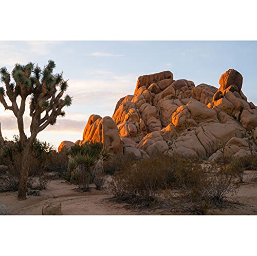 6x4ft Sunset Joshua Tree National Park Photography Background Rock Mountains Arid Desert Cactus Backdrop Nature Scenery Landscape Outdoor Adventure Travel Theme Photo Polyester Studio Props - size: 6x4ft-P