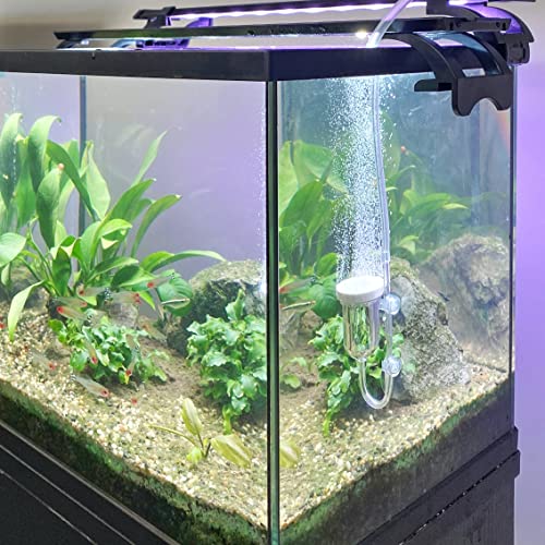 Aquarium Air Stone, Fish Tank Bubble Diffuser High Dissolved Oxygen Airstones for Air Pump Accessoriess with 1 Check Valve, 2 Suction Cup for Aquarium Pond Hydroponic - size: 1.4 inch
