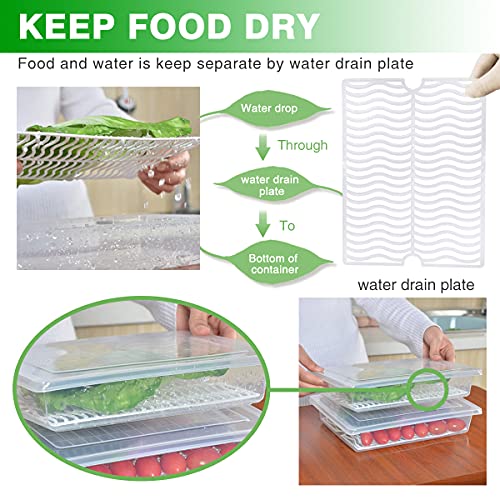 Fridge Produce Saver Containers (3 Pack) - 2.5L Drain Tray Keeps Veggies, Fruits, Lettuce Fresh