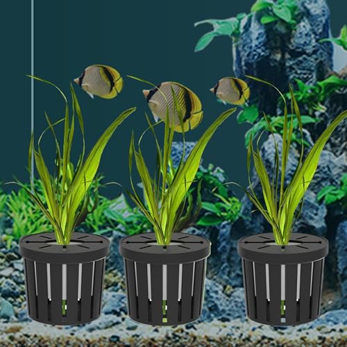 Fish Tank Plant Holder | 4 Pieces Suction Cups Cultivation Cups | Aquarium Plant Pots | for Fish Tank Betta Shrimp Freshwater Terrarium Home Workplace Decor