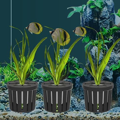 Fish Tank Plant Holder | 4 Pieces Suction Cups Cultivation Cups | Aquarium Plant Pots | for Fish Tank Betta Shrimp Freshwater Terrarium Home Workplace Decor