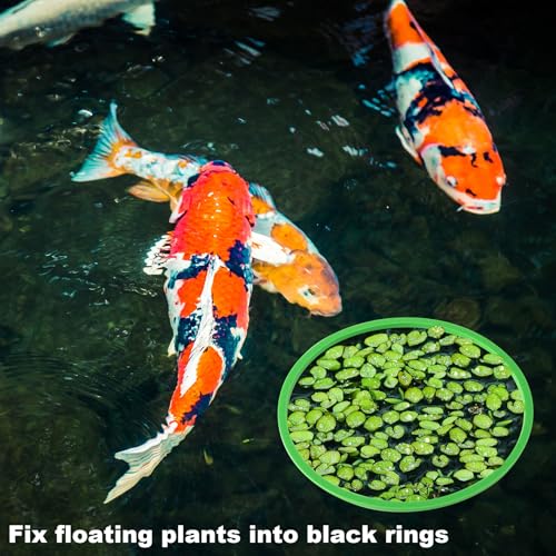10pcs Fish Feeding Rings Set, Floating Aquarium Plant Corral, Round Feeder Ring Floating Plant Ring, Fish Tank Aquarium Accessories for Betta (Green)