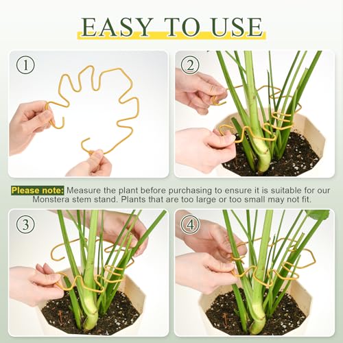 5PCS Monstera Plant Support, Metal Plant Supports Plant Stem Holder Durable Sturdy Plant Stabilizer for Indoor Plants Climbing Plants Outdoor Moss Pole Thriving Growth (Gold) - size: 5.9*5.9/5
