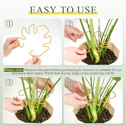5PCS Monstera Plant Support, Metal Plant Supports Plant Stem Holder Durable Sturdy Plant Stabilizer for Indoor Plants Climbing Plants Outdoor Moss Pole Thriving Growth (Gold) - size: 5.9*5.9/5