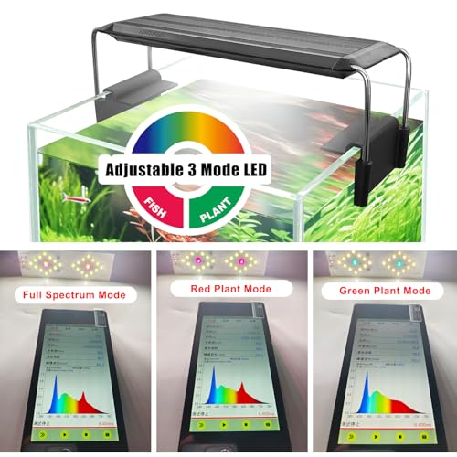 Glass Aquarium Starter Kits 1.5 Gallon Small Fish Tank, Betta Fish Tank for Home Office Deco, with LED Light, Power Filter, 4mm Glass, Black