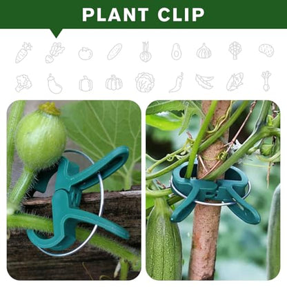 A Plant Clamp Used for Climbing Plants,Horticultural Clip Used to Support Climbing of Flower Stems, Vines, Vegetables, and Tomatoes,Vine Clip for Garden Vine Training (Green, 60 small60 Big) - size: 60 Small + 60 Big