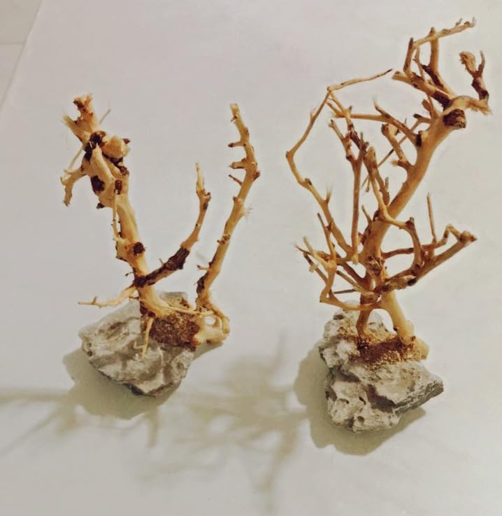 2pcs Small Bonsai Aquarium Tree,4-6inch,Handmade Aquarium Bonsai Tree Aquarium Decor Tree
