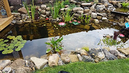 PondH2o 9" Wide by 6" Deep (23cm x 16cm), Square Black Plastic Mesh Pond Planting Containers, Aquatic Water Garden Plant or Flower Planters, Pots Baskets Aquaponics, Hydroponics | Value 2 Pack