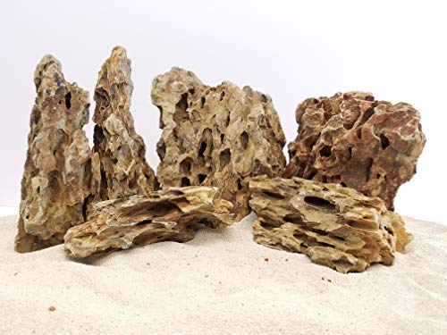 Lifegard Aquatics Aquascaping Dragon Ohko Rock 10 Lb Kit – Decorative Aquarium Rocks, Fish Tanks – 10 Lbs Kits - size: 10 Gallons, style: Dragon Ohko Rock