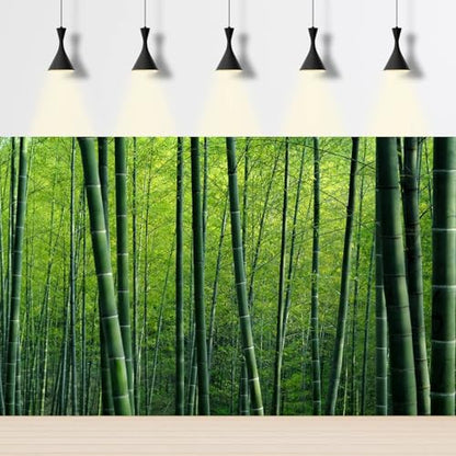 Bamboo Forest Aquarium Background Lush Green Bamboo Forests Scenery Fish Tank Background Idyllic Scenic Bamboos Terrarium Backgrounds Tranquil Bamboos Trees Reptile Tank Backgrounds 36x20in
