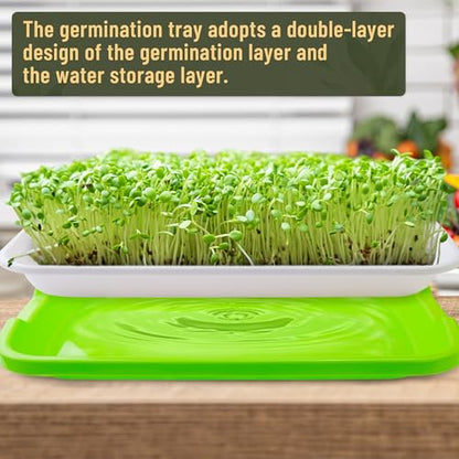 Pack 10 of Seed Sprouter Tray with Drain Holes,Seed Germination Trays Kit BPA Free Nursery Tray,Soil-Free Wheatgrass Tray Sprouter Microgreens Growing Kit (Green-10 Pack) - color: Green-10 Pack