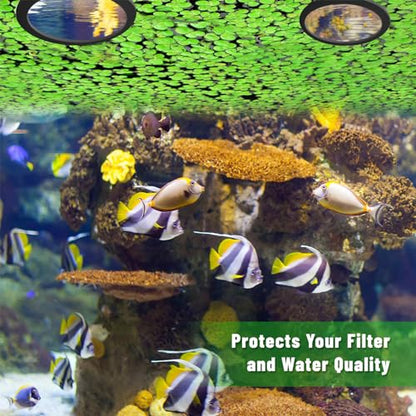 Fish Tanks Floating Plant Rings 5/10pcs Floating Plant Corral Aquariums Feeding Rings Safe Fishtanks Food Holder Floating Feeding Rings for Fish Tanks