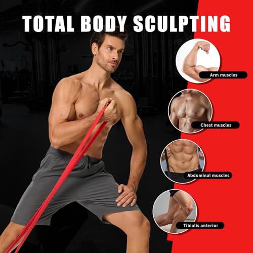 Resistance Bands Set with Door Anchor for Pull-Ups and Strength Training | For Assisted Pull-ups, Stretching, Fitness, Muscle Training and Physical Therapy, Suitable for Women and Men at Home or Gym
