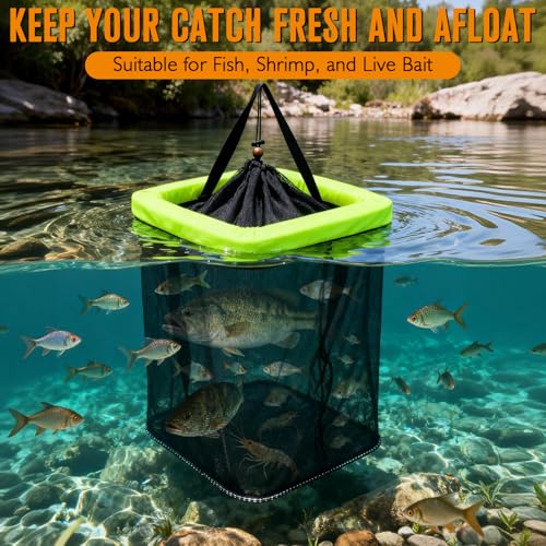 12 Gallon Floating Fish Basket for Live Caught Fish Live Bait Bucket Square Kayak Fishing Net for Fishing Live Well High-Floating for Baitfish Storage Cage Minnow Bucket Orange Green