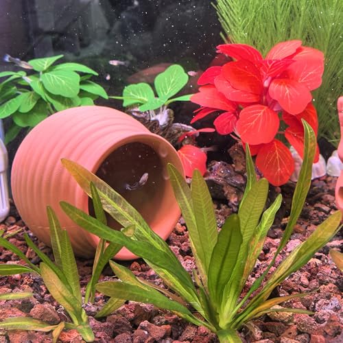 M2cbridge Pottery Ceramic Jar Natural Clay Vase for Cichlid Small Fish Shrimp Aquarium Decor to Play Hide Breed Habitat (Red Pots, 2pcs)