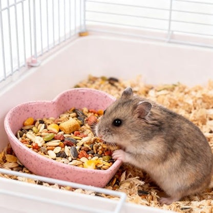 6 Pcs Hermit Crab Plastic Food Dish, Hermit Crab Colorful Food Bowl, Mini Food Dish Kit for Small Animal