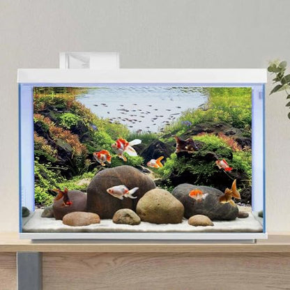 AWERT 30x18 inches Stone Aquarium Background Aquatic Plant River Bed & Lake Fish Tank Background Seaweed Fish Tank Background Vinyl Background