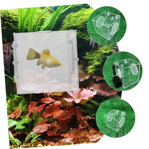 Fish Breeding Box Cups Fish Incubator for Fry Isolation Aquarium Lightweight and Easy Installation and Cleaning