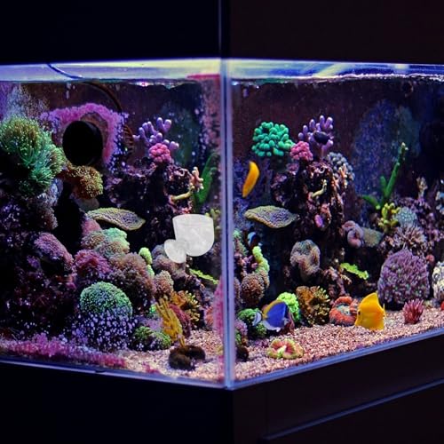 2pcs Aquarium Fish Food Feeder Cups with Suction Large and Small Acrylic Fish Feeding Containers for Chilled Bloodworm and Brine Shrimp for Aquarium Feeding