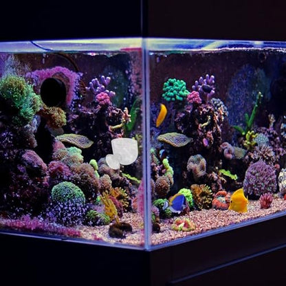 2pcs Aquarium Fish Food Feeder Cups with Suction Large and Small Acrylic Fish Feeding Containers for Chilled Bloodworm and Brine Shrimp for Aquarium Feeding