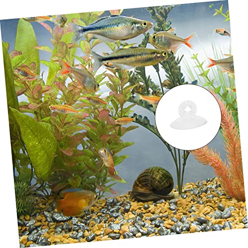 Ipetboom 100 Pcs Aquarium Fixed Suction Round Threads Cups Conditioner Lifter Dosing Pump Pump Aquarium Plumbing Fittings Aquarium Diffuser Cleaner Fish Tank Hose Air Transparent