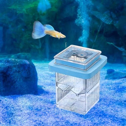 Baoblaze Fish Hatching Box Isolation Case Large Capacity Detachable Aquarium Supplies Fishtank Breeder Aquarium Hatchery for Home Use, Blue