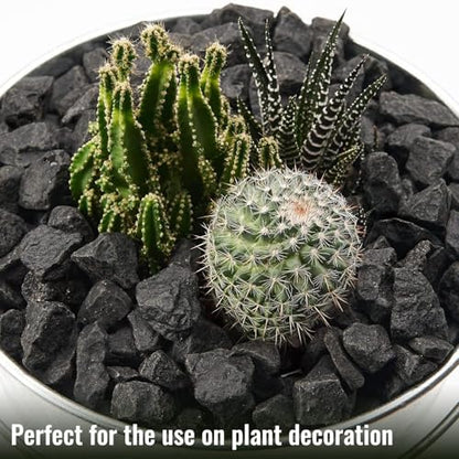 10 Pound Gravel Rocks, 0.5-0.7 Inches Polished Pebbles for Plants, Fish Tank, Clear Vase and More, Natural Black Stones