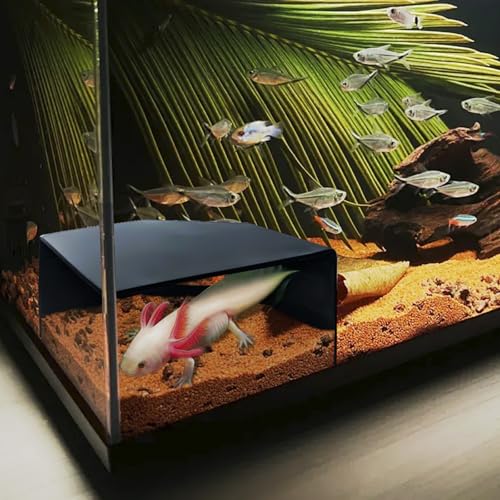 Aquarium Corner Cave Hide Axolotl Cichlid Cave Fish Tank Accessories, Corner Fish Aquarium Cave Hide with Viewing Window, Terrarium/Aquarium Underground Natural Cave - color: Corner Cave Black Large