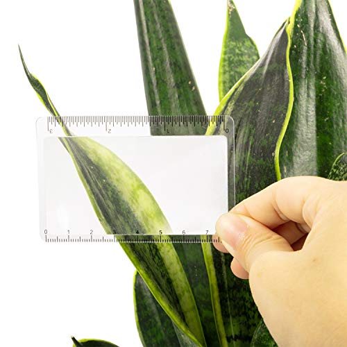 Frienda 50 Pcs Pocket Magnifying Glass 4X Fresnel Lens Credit Card Pocket Magnifier Plastic Ruler Starting Fire Emergency Bushcraft Outdoor Survival Leisure for Classroom Home Office (Yellow) - color: Transparent