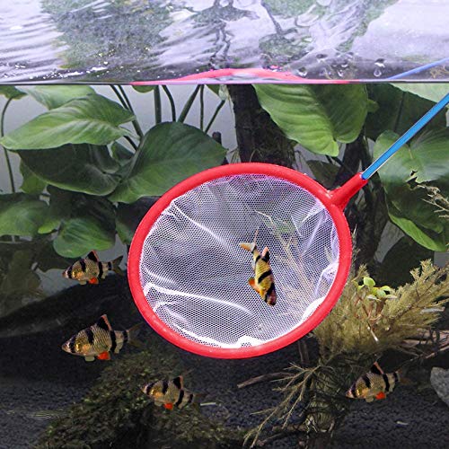 30pcs Random Fish Shrimp Net Fish Tank Cleaner Net Tank Nets-Other Aquarium Supplies