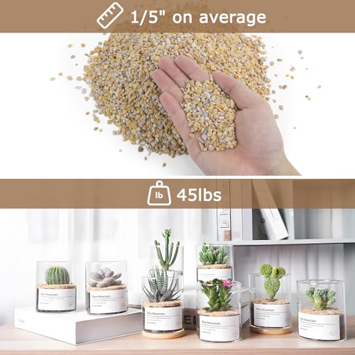 45Lb 1/5Inch Natural Pea Gravel for Landscaping,Decorative Aquarium Gravel,Terrarium Rocks for Fish Tank Stones for Vases Filling DIY Project Garden Indoor Outdoor