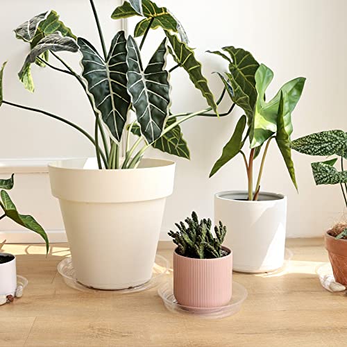 20 Pack Plant Saucers (6 inch / 8inch / 10inch / 12inch) Clear Plant Saucers Flower Pot Tray Excellent for Indoor & Outdoor Plants - style: Multi-Size (6''+8''+10''+12'')