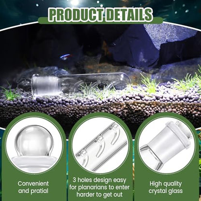 Qualirey 4 Pack Planaria Catch Trap for Aquarium Snail Leech Clear Glass Planaria Trap for Dwarf Shrimp Red Cherry Shrimp Tank(3 Holes) - style: 3 Holes