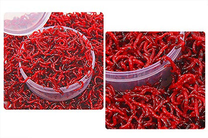 ONLYKXY 1.6 inch, 2 inch, 2.5 inch, Transparent Plastic Fishing Bait Box, Round Boxes, Fishing Lures Storage, Fishing Live Baits Container, Small Storage Case