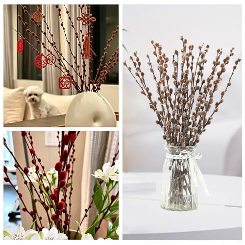 Natural Preserved Dried PussyWillow Branches for Vases, 20 Stems Real Willows, 17” Snow Pussywillows, Dried Flowers for Indoor Decor, Wedding Home DIY Floral Art Plants Fireplace, Brown