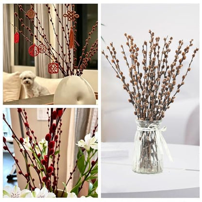 Natural Preserved Dried PussyWillow Branches for Vases, 20 Stems Real Willows, 17” Snow Pussywillows, Dried Flowers for Indoor Decor, Wedding Home DIY Floral Art Plants Fireplace, Brown