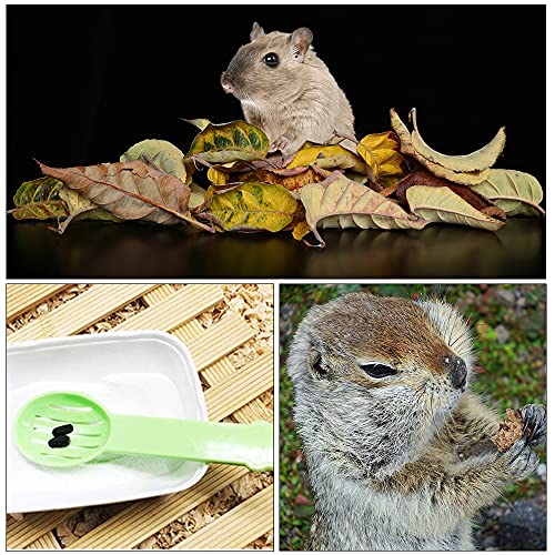 8Pcs Plastic Litter Scoop Small Pet Sand Spoon Shovel for Pet Cleaning Necessary Tool for Breeding Pets 4 Color