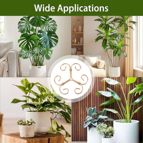 4 Pack Monstera Plant Stem Supports, Metal Garden Support for Climbing Plants, Iron Stem Holder for Monstera, Pothos, Vine – Indoor Plant Climbing for Home Garden - size: B