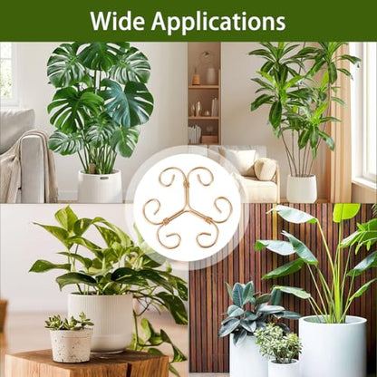 4 Pack Monstera Plant Stem Supports, Metal Garden Support for Climbing Plants, Iron Stem Holder for Monstera, Pothos, Vine – Indoor Plant Climbing for Home Garden - size: B